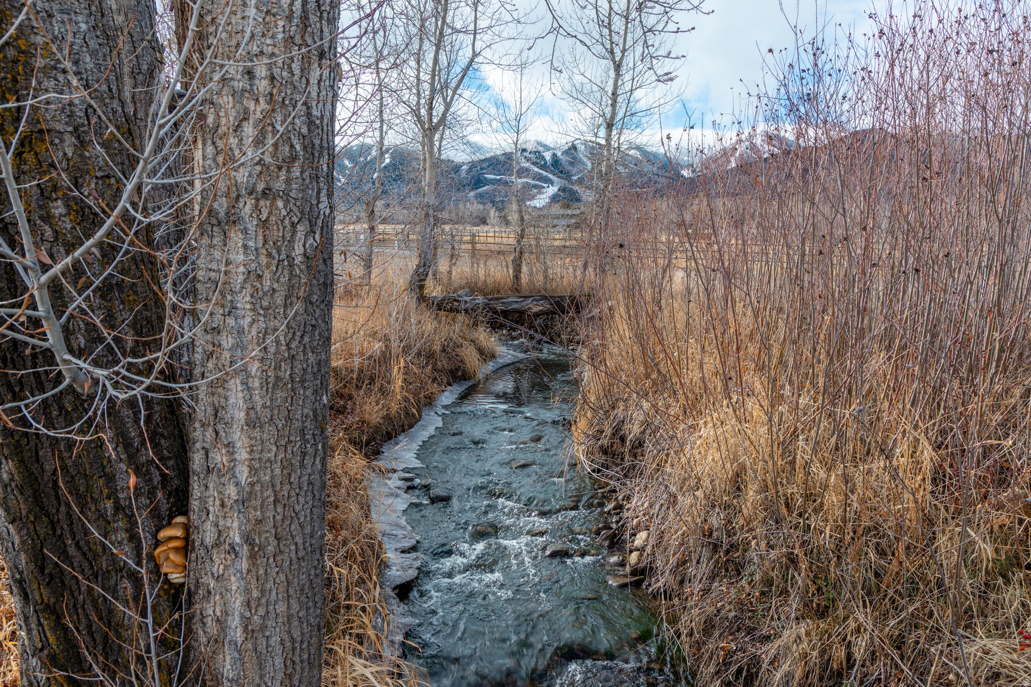 OLD RANCH ROAD AREA - Land