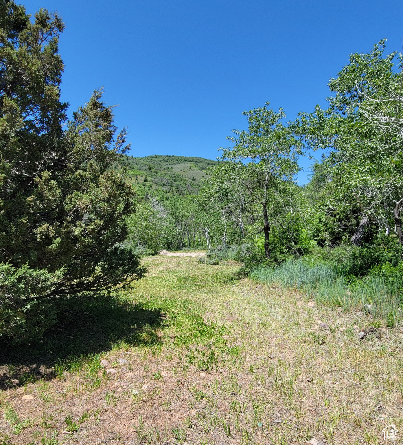 3252 N Evergreen Park Dr #288, Huntsville, Utah image 21