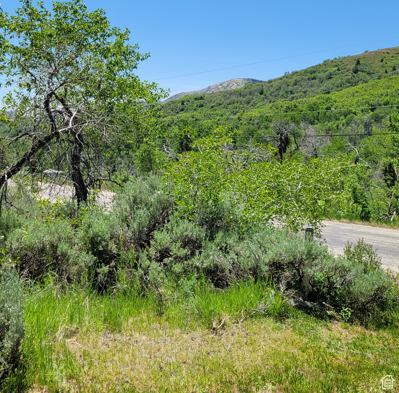 3252 N Evergreen Park Dr #288, Huntsville, Utah image 37