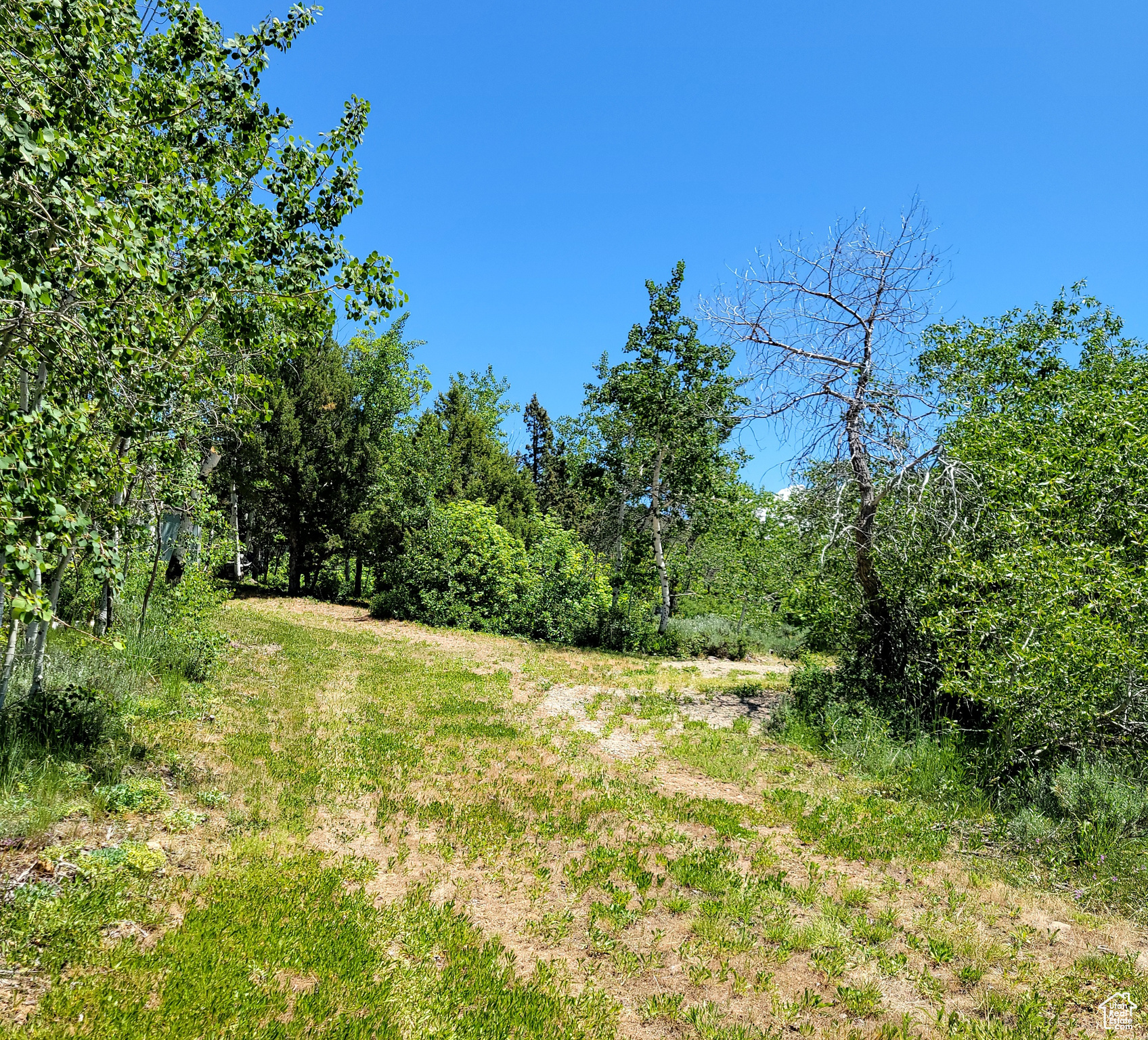 3252 N Evergreen Park Dr #288, Huntsville, Utah image 4