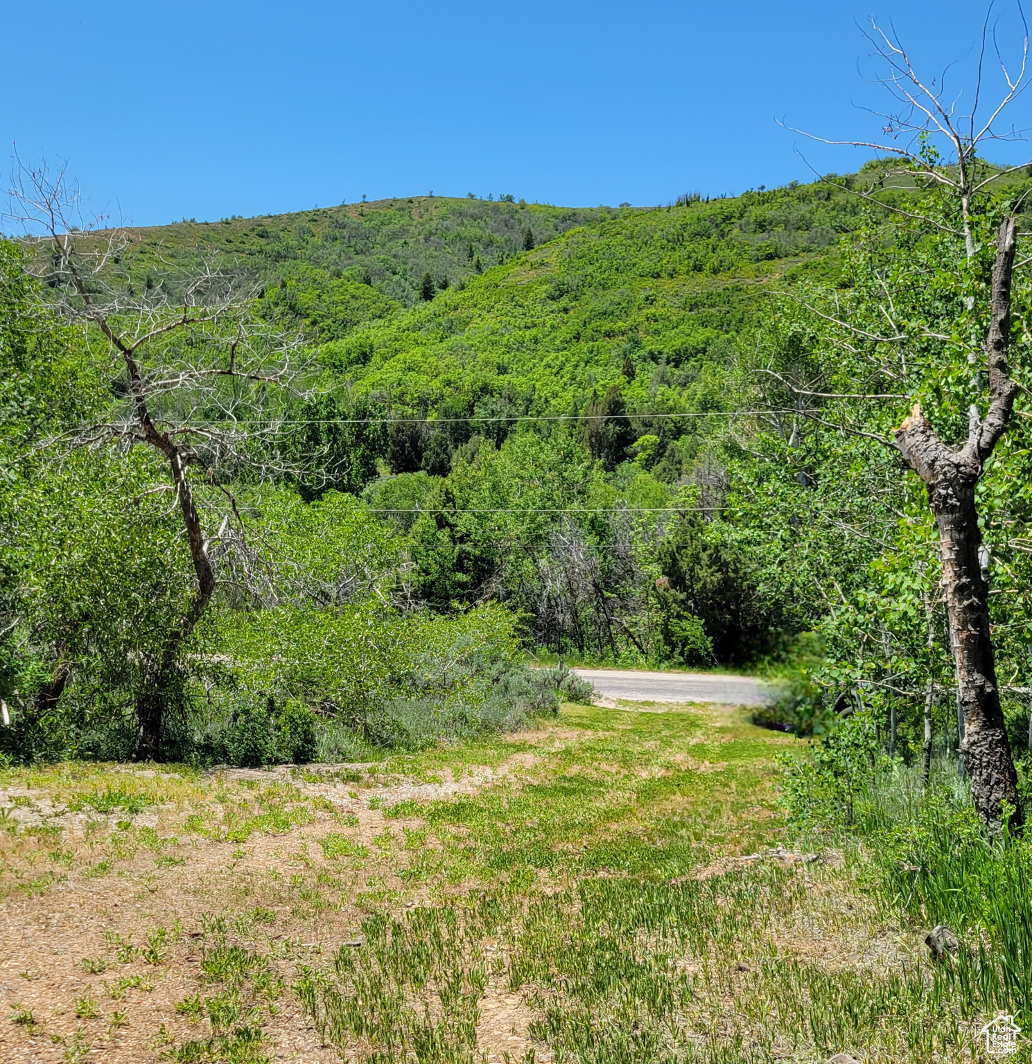 3252 N Evergreen Park Dr #288, Huntsville, Utah image 36
