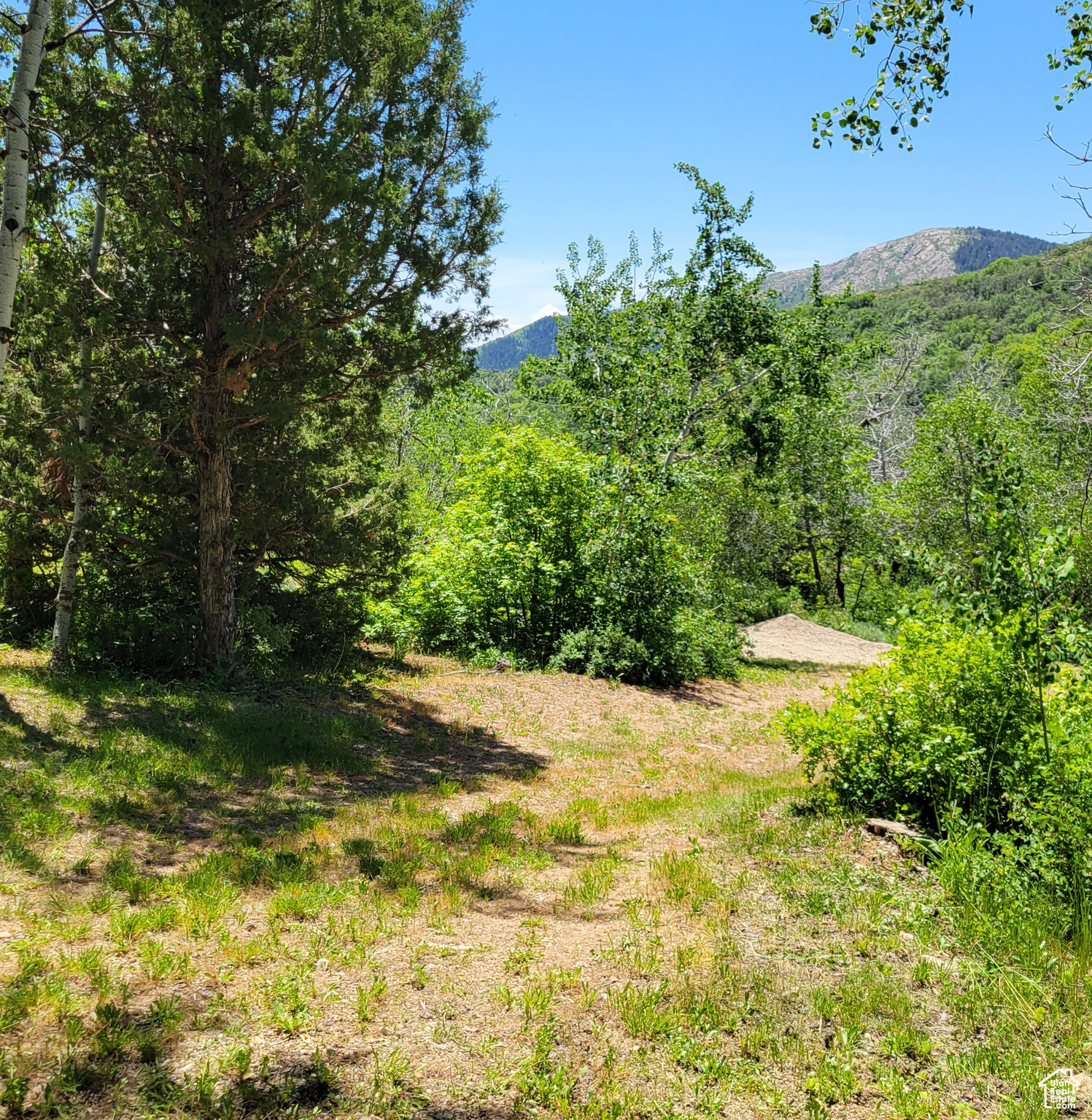 3252 N Evergreen Park Dr #288, Huntsville, Utah image 35
