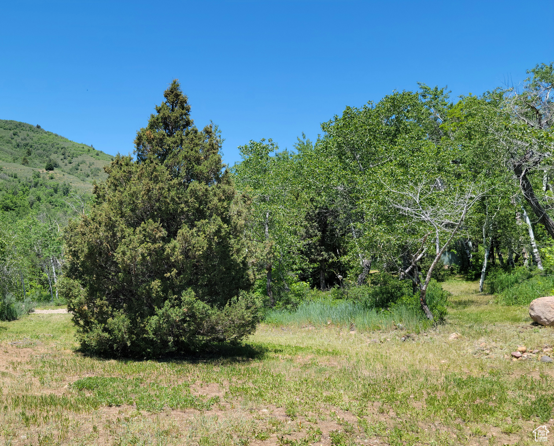3252 N Evergreen Park Dr #288, Huntsville, Utah image 12