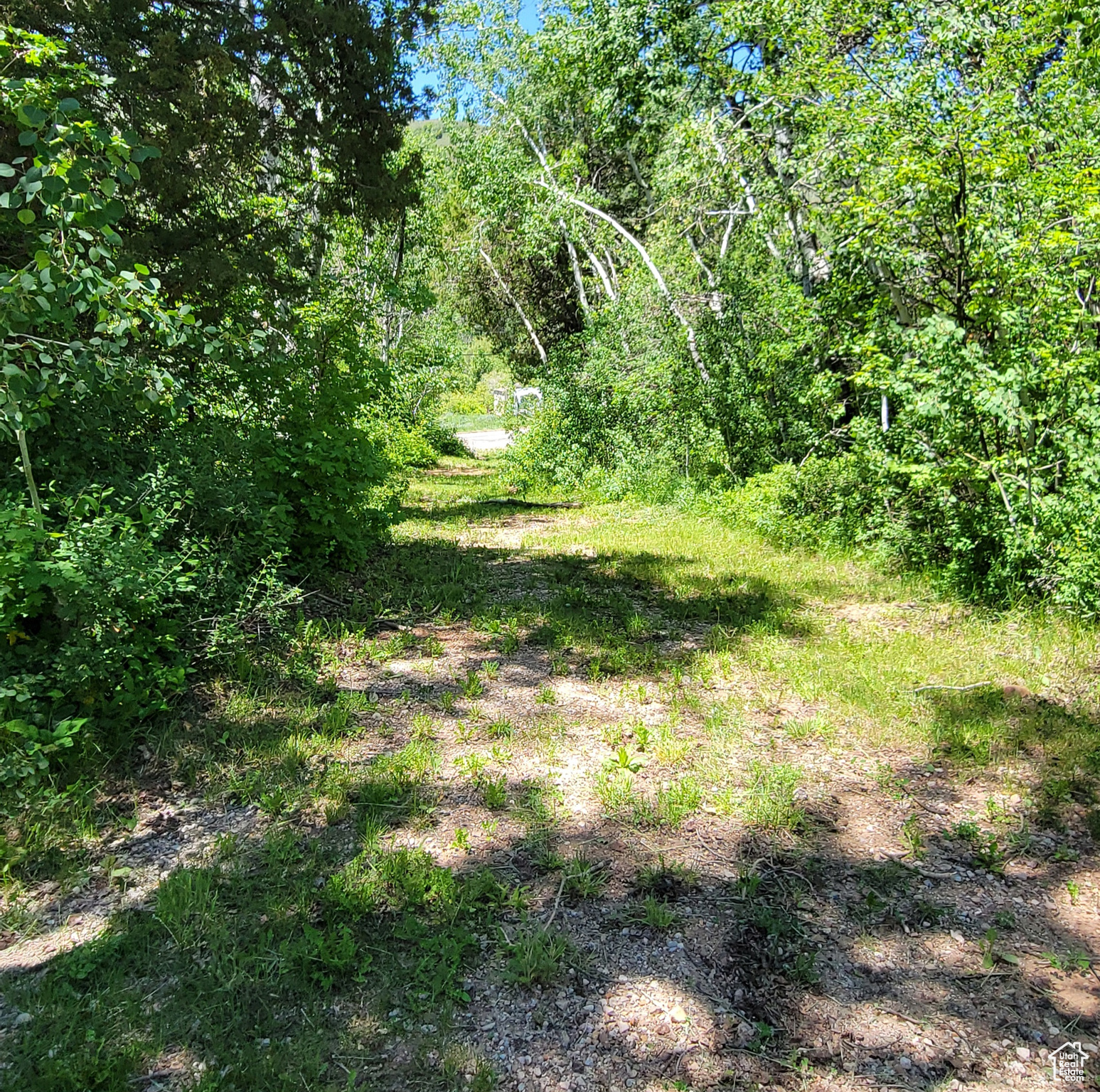 3252 N Evergreen Park Dr #288, Huntsville, Utah image 31