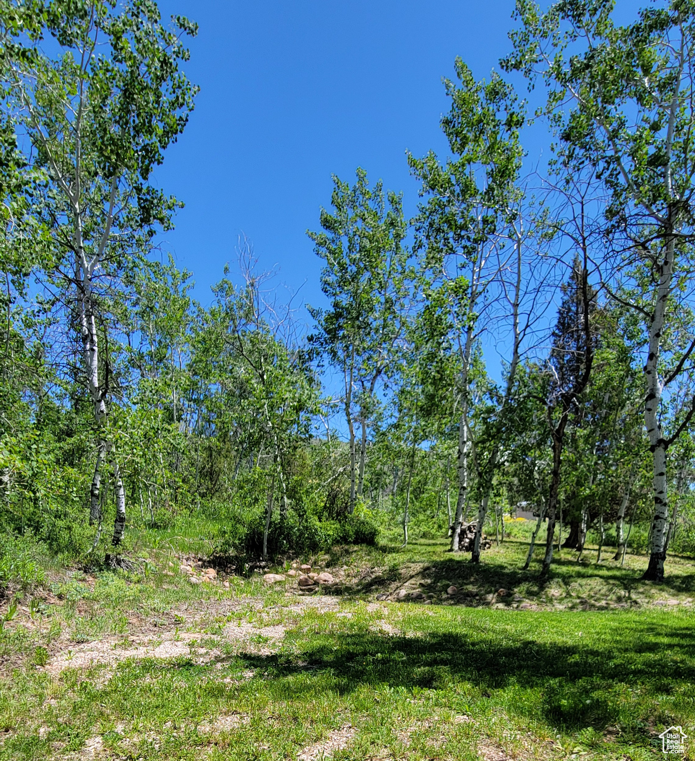 3252 N Evergreen Park Dr #288, Huntsville, Utah image 33
