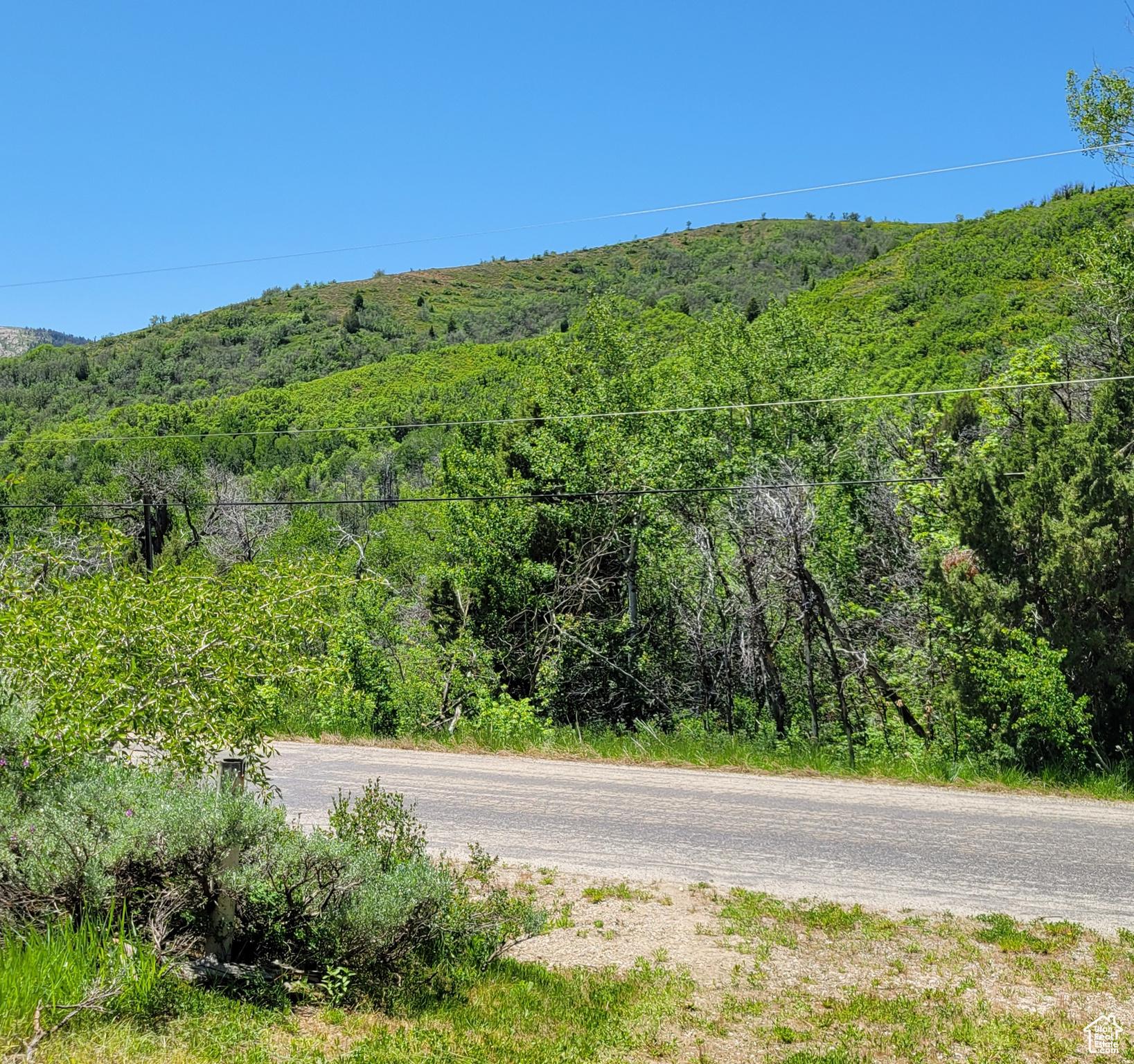 3252 N Evergreen Park Dr #288, Huntsville, Utah image 38