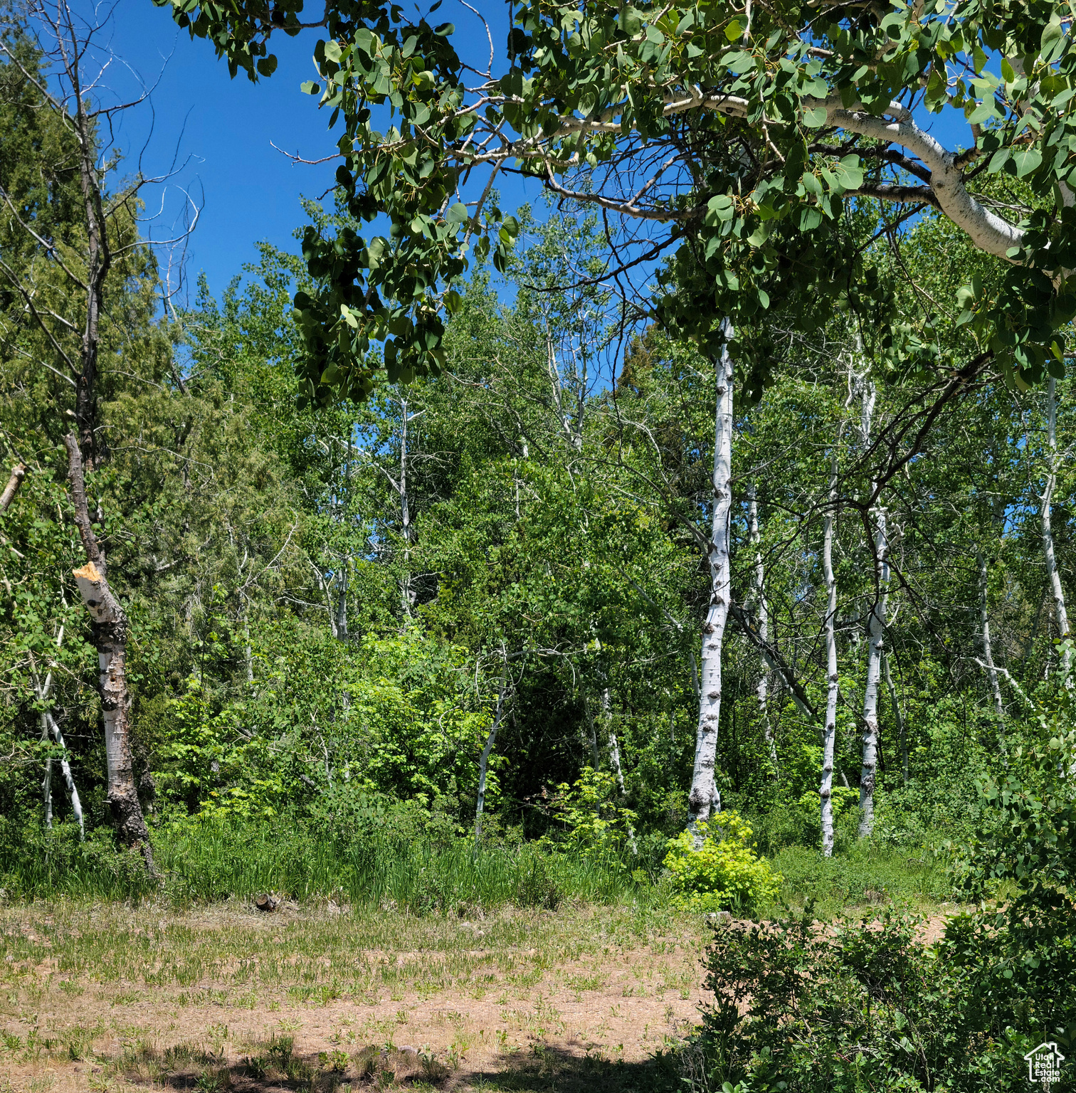 3252 N Evergreen Park Dr #288, Huntsville, Utah image 9