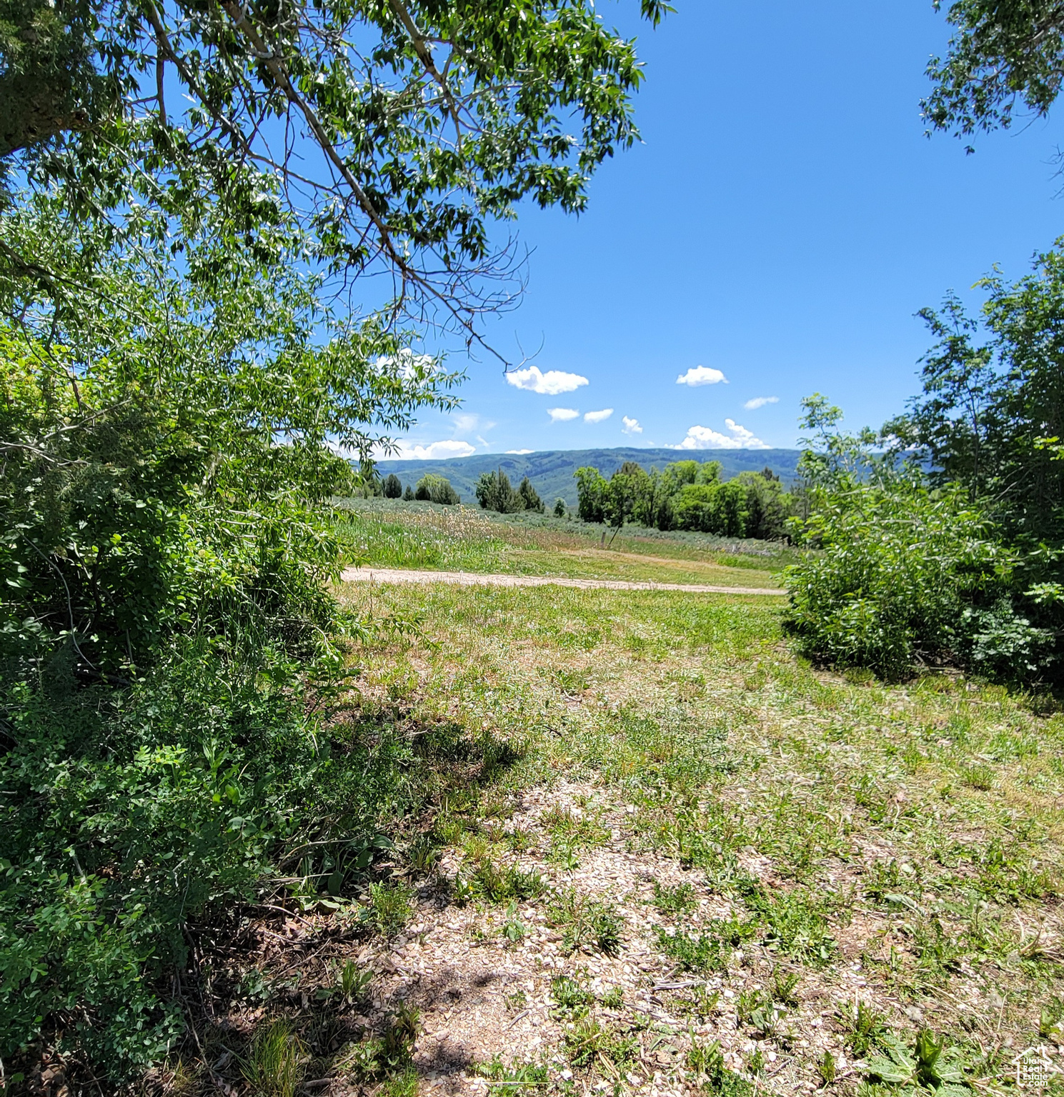 3252 N Evergreen Park Dr #288, Huntsville, Utah image 15