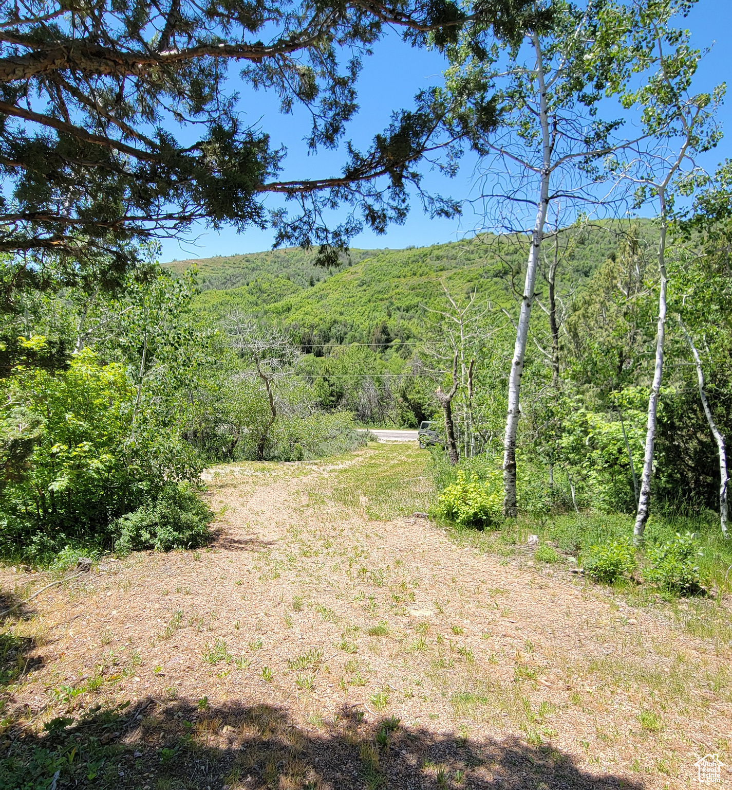 3252 N Evergreen Park Dr #288, Huntsville, Utah image 23