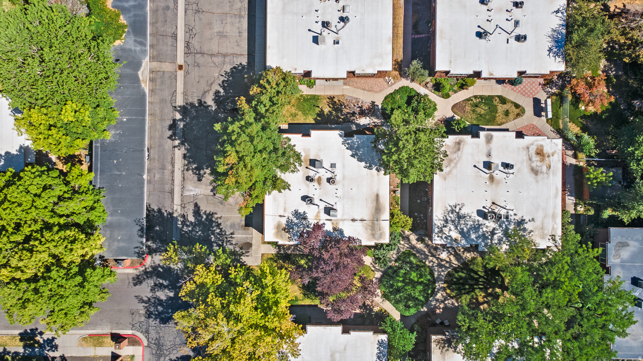 SILVER MAPLE - Residential