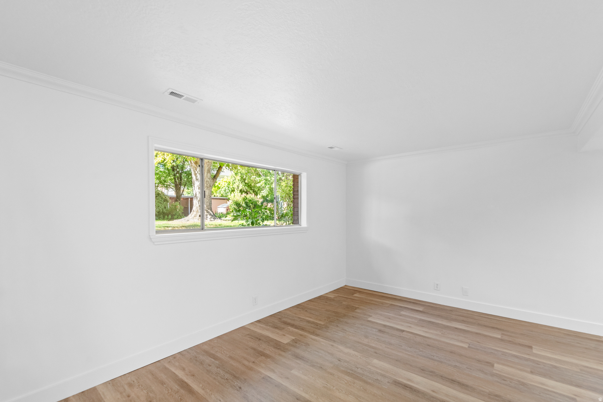 SILVER MAPLE - Residential