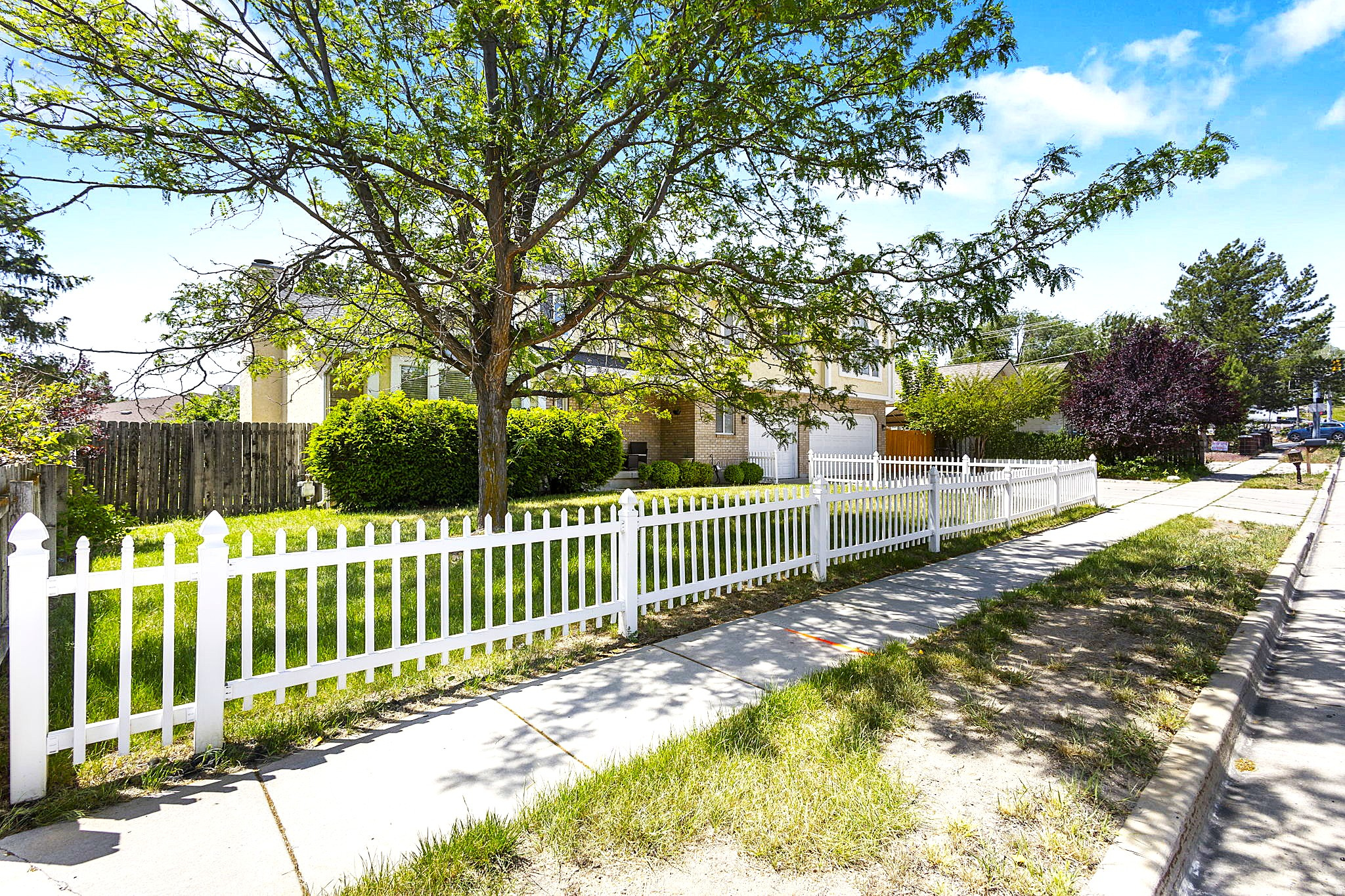 BIG WILLOW - Residential