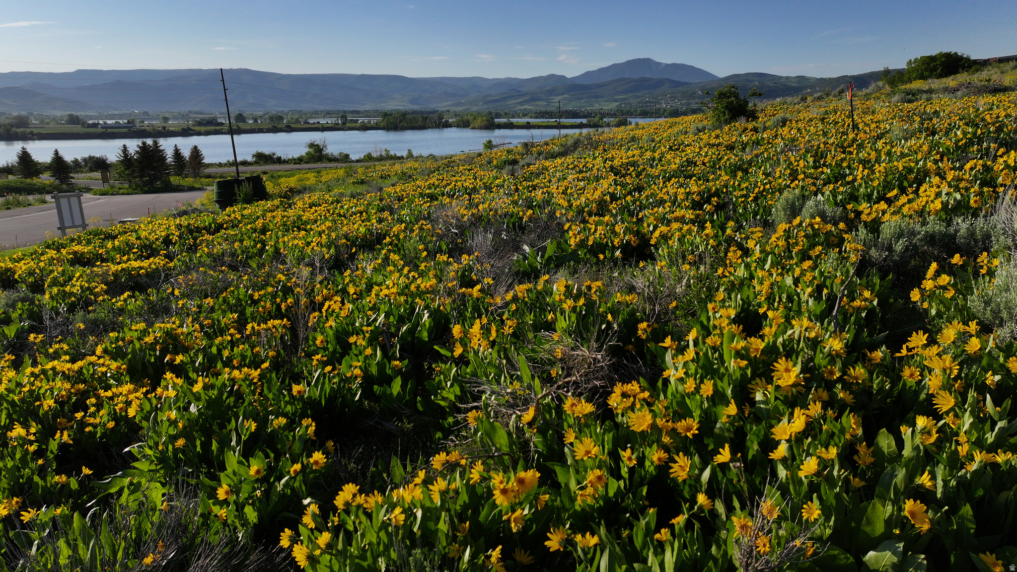 PINEVIEW OVERLOOK - Land