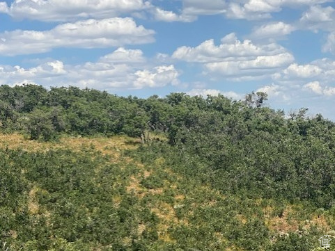 TOLLGATE CANYON - Land