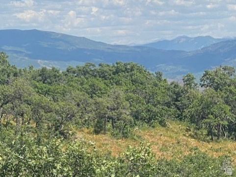 TOLLGATE CANYON - Land