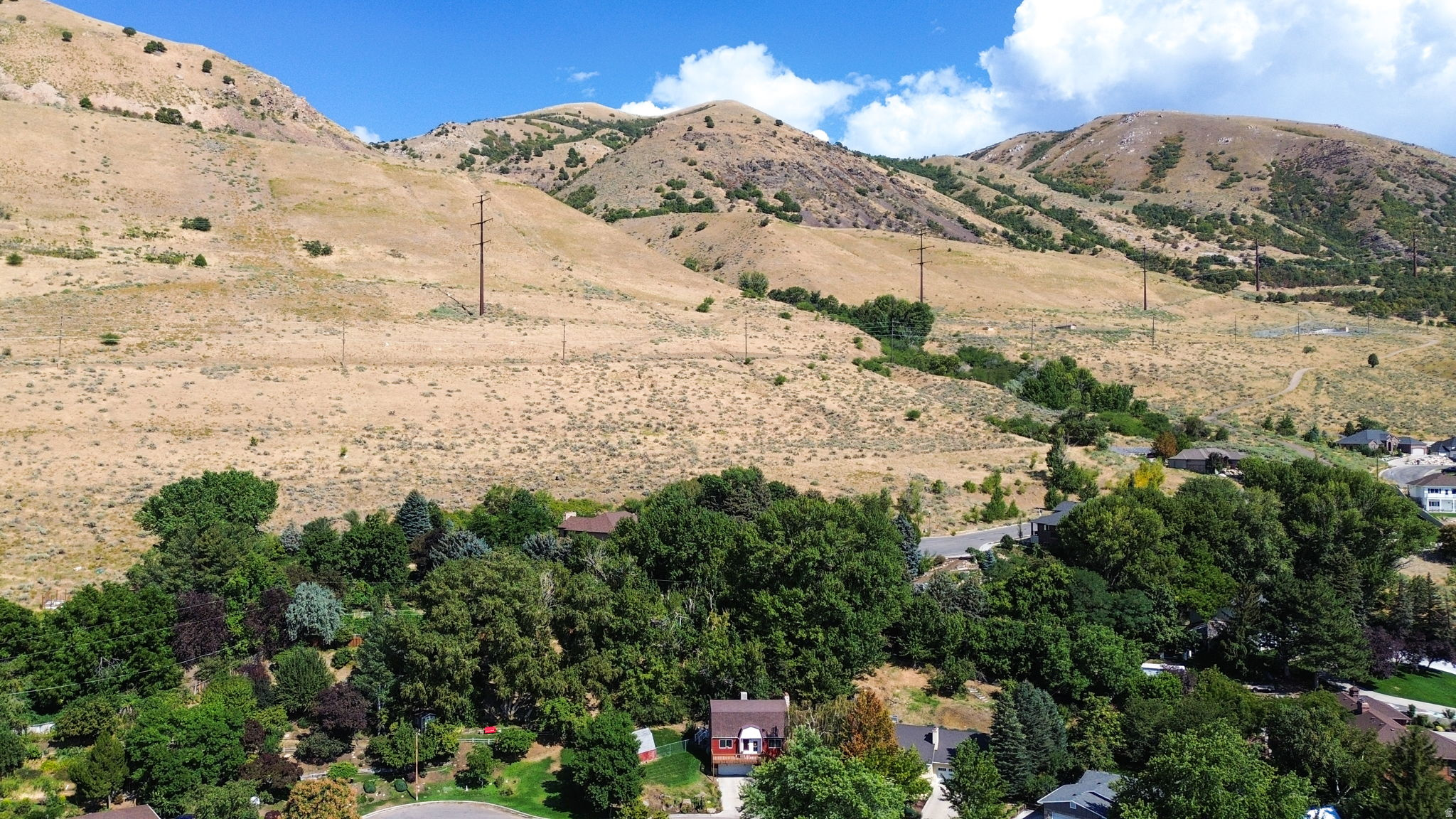 FOREST HILLS - Residential