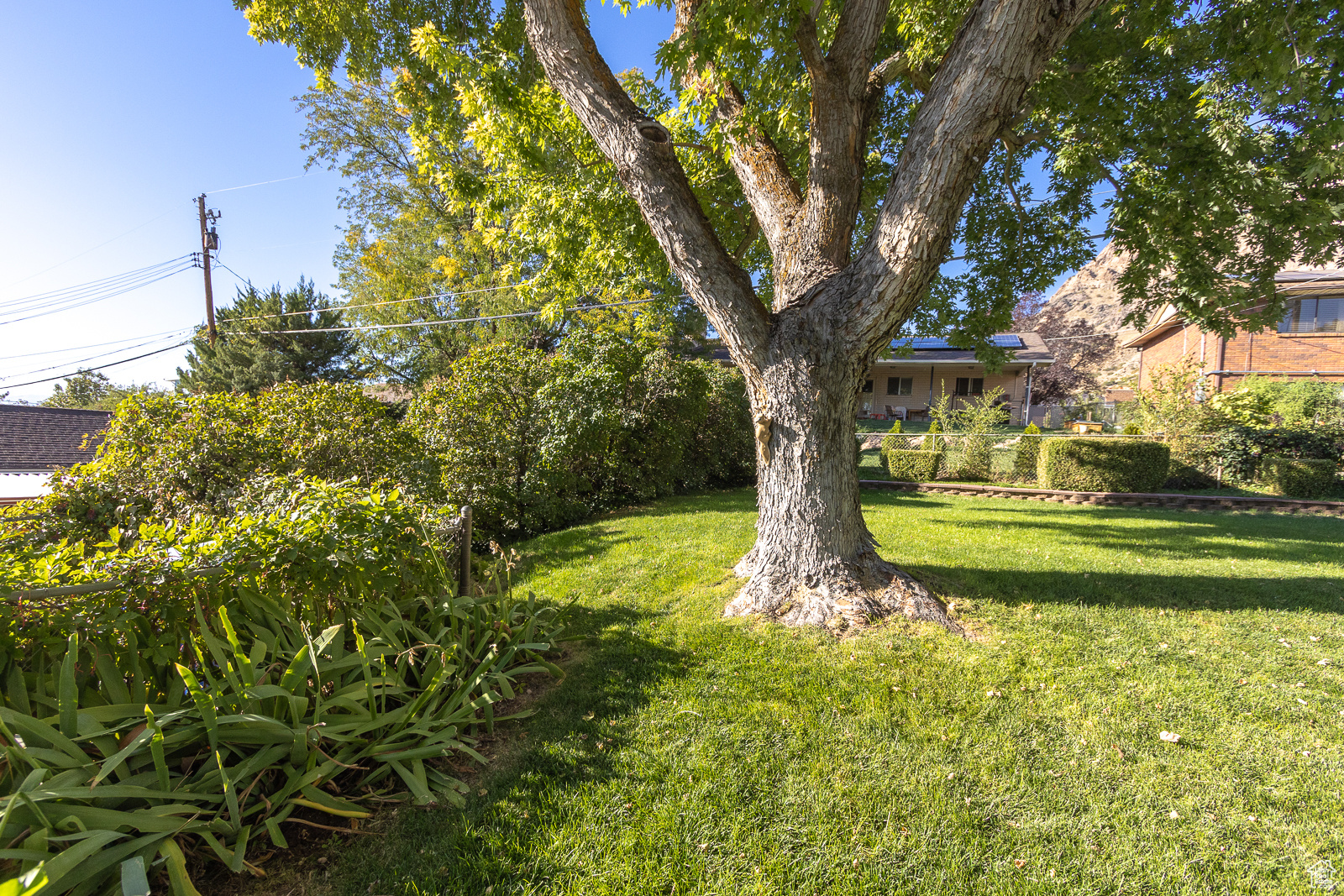 1456 E 6th St, Ogden, Utah image 32