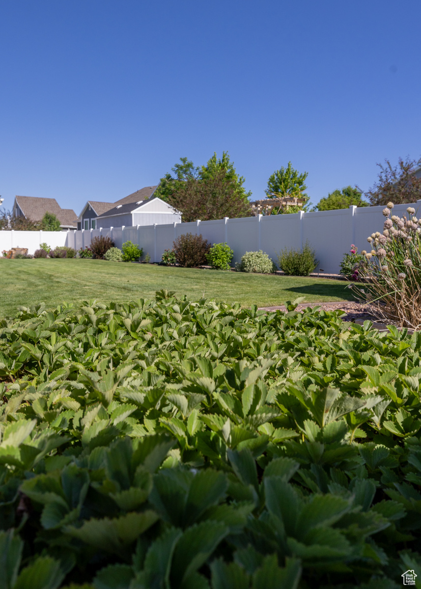 PARK RIDGE - Residential