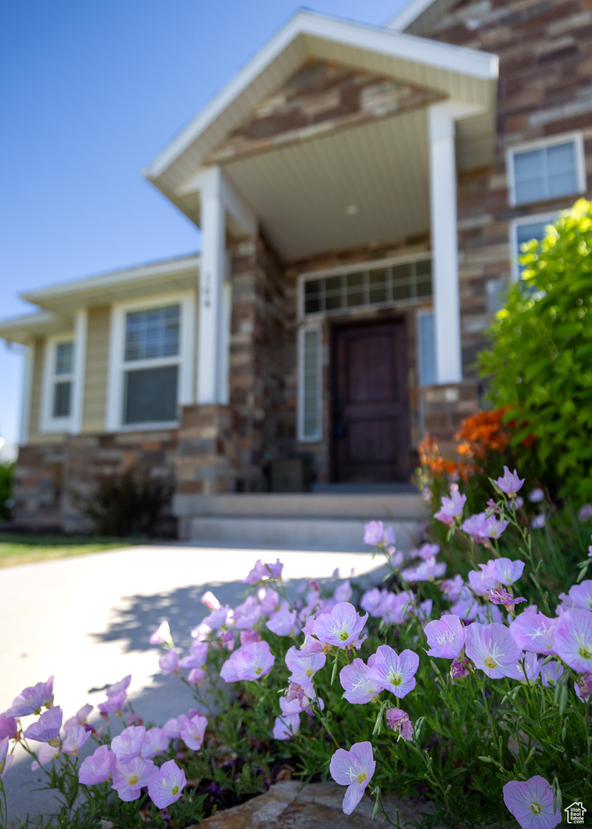 PARK RIDGE - Residential