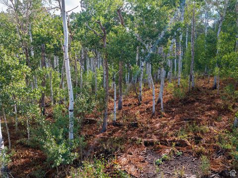 Tiny photo for 2919 GREEN BRIAR WAY #543, Heber City, UT 84032 (MLS # 2113111)