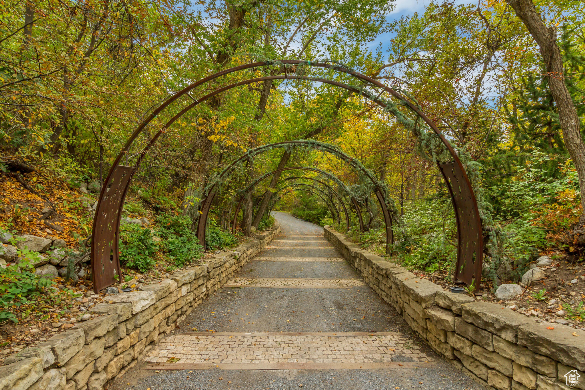 ALPINE COVE - Residential