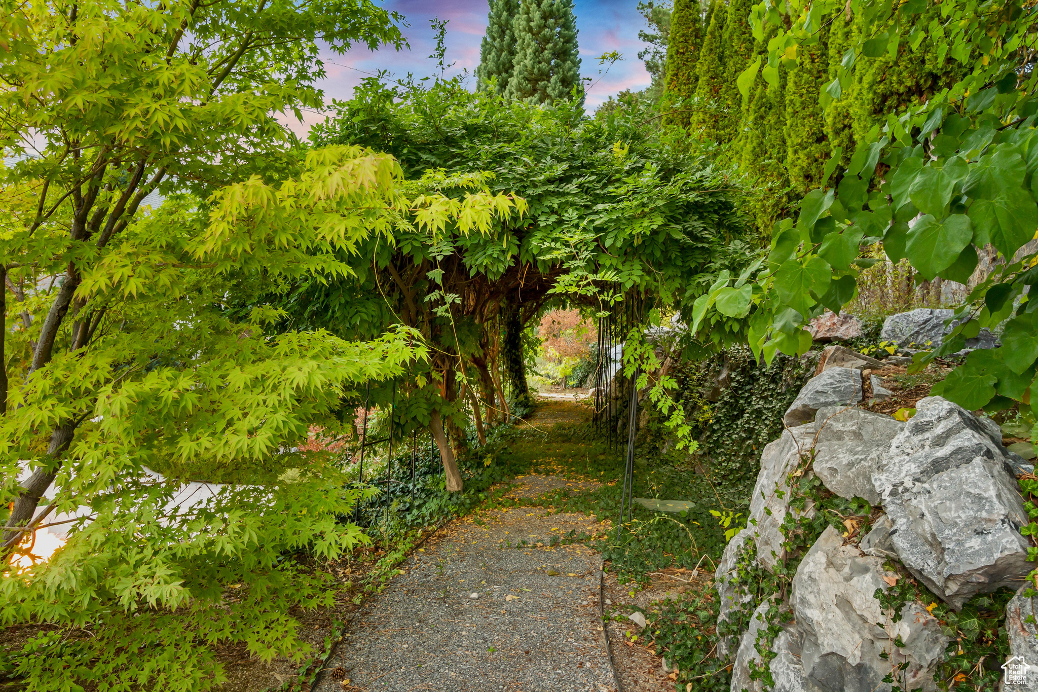 ALPINE COVE - Residential