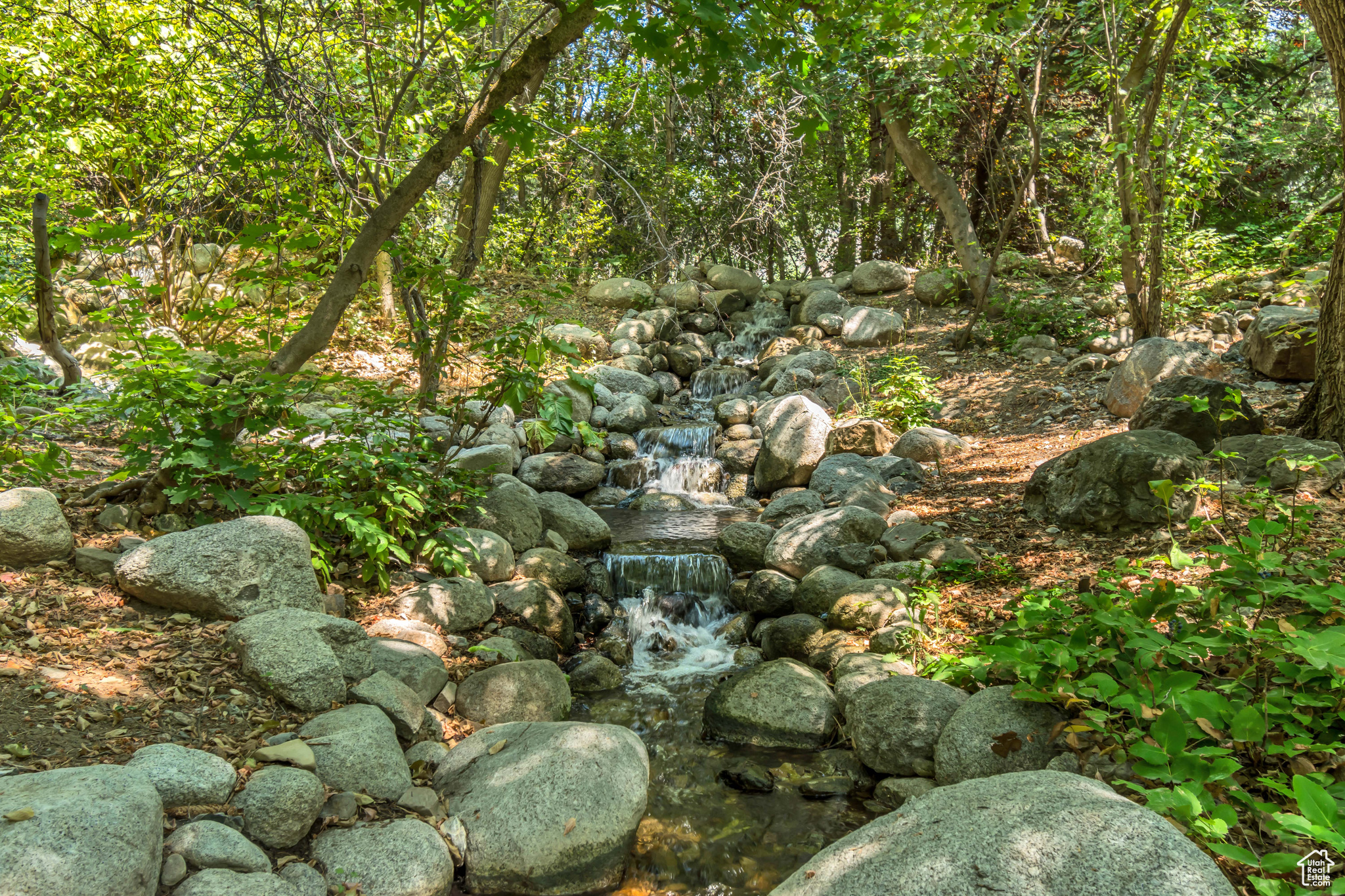 ALPINE COVE - Residential