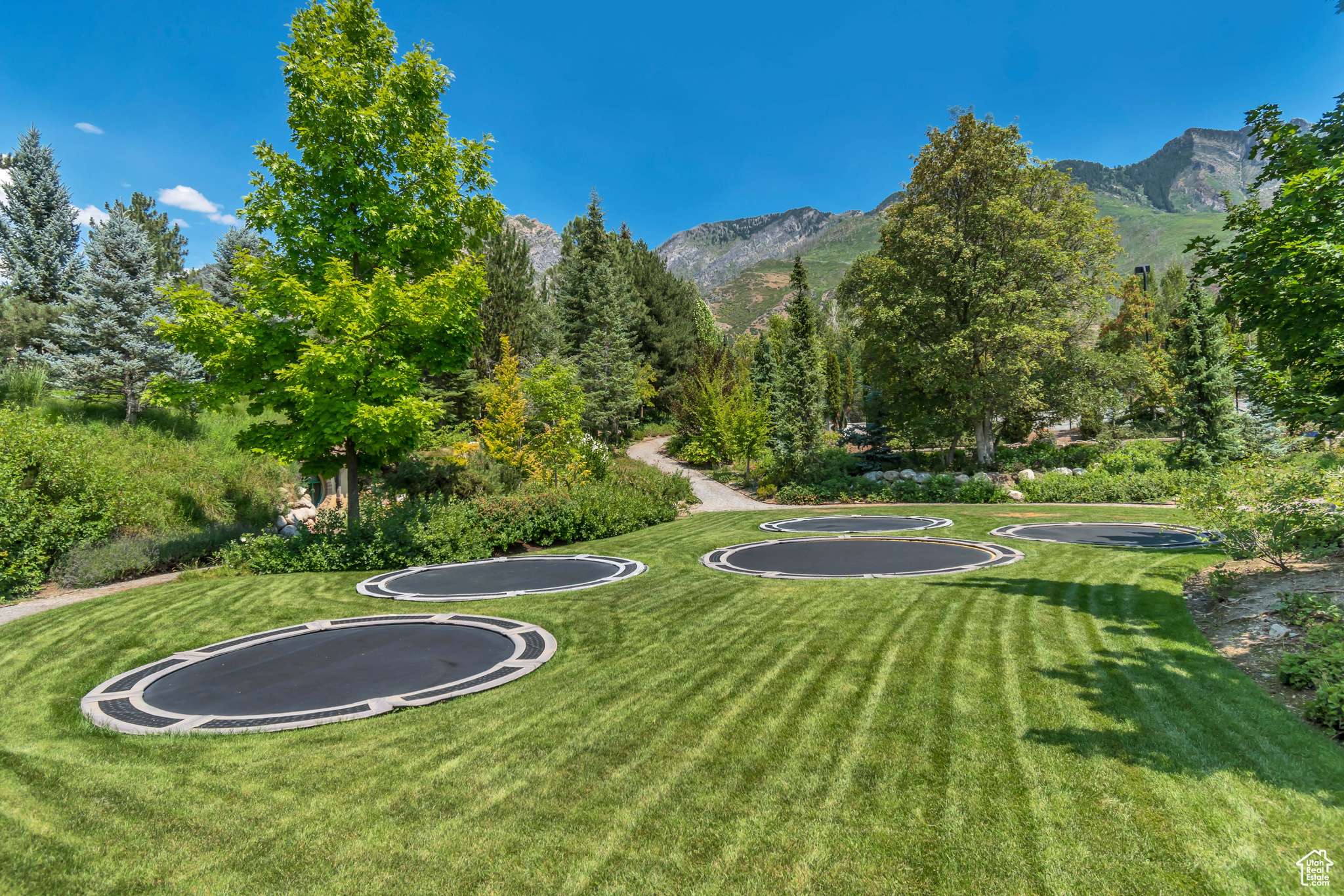 ALPINE COVE - Residential