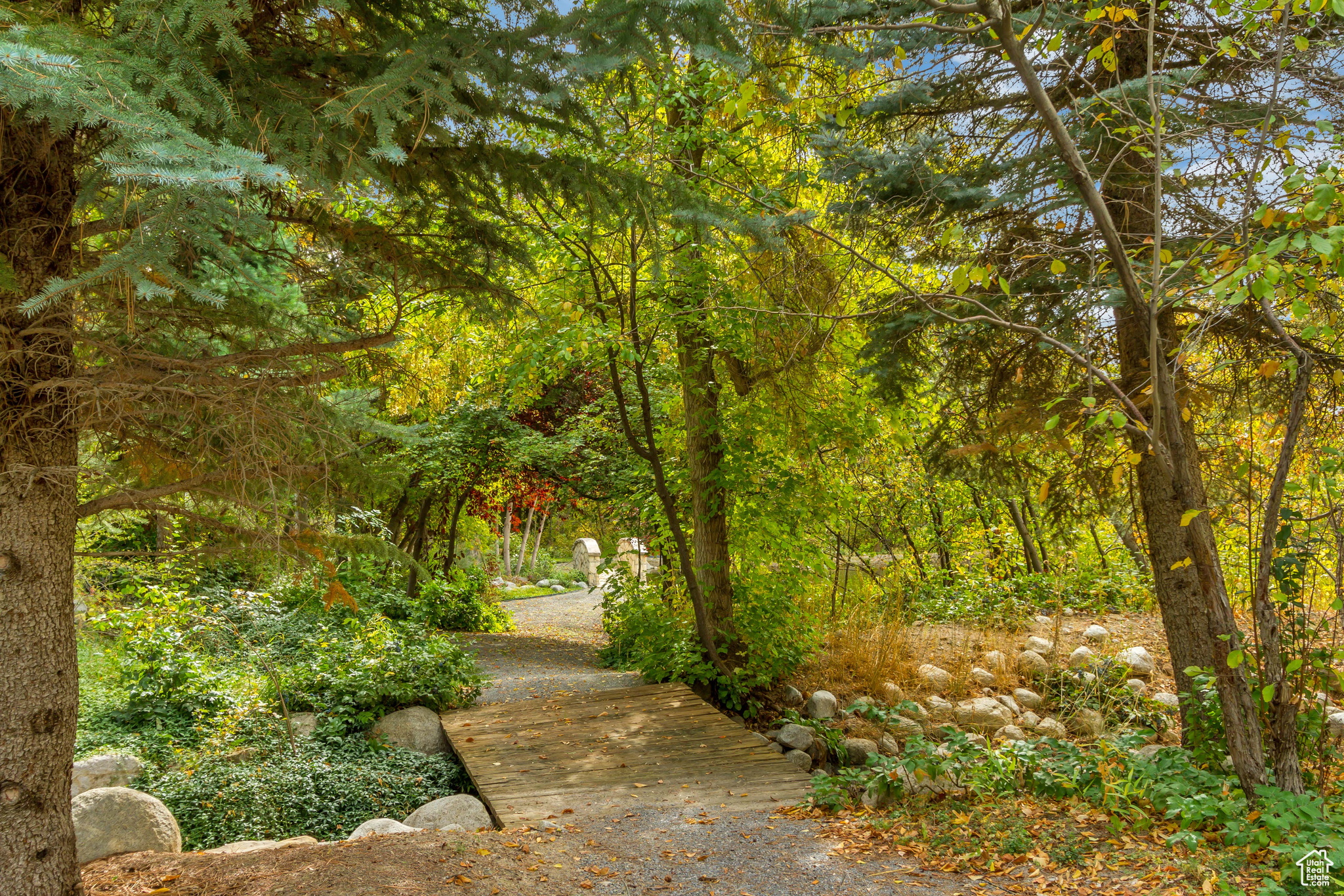 ALPINE COVE - Residential