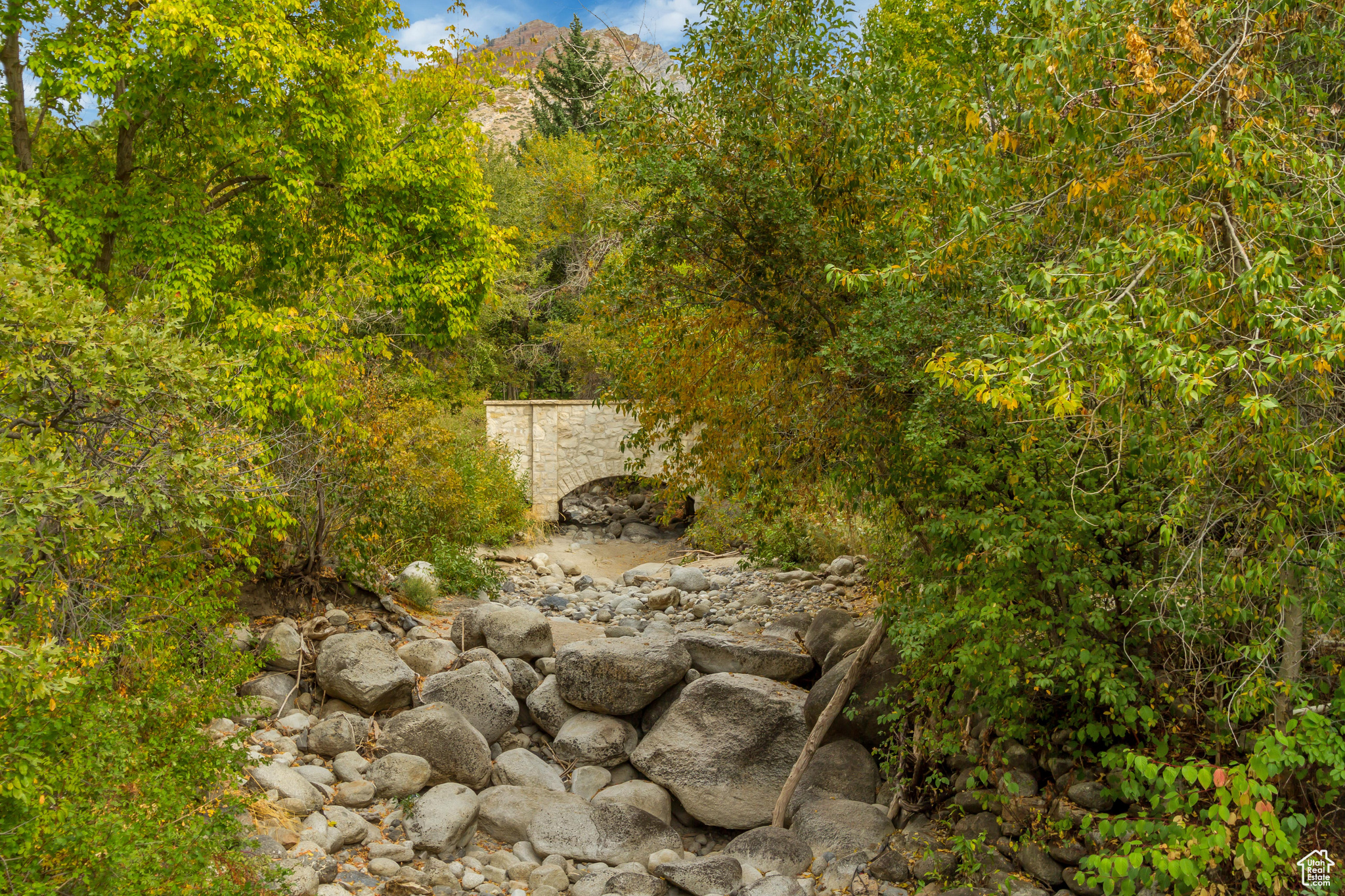 ALPINE COVE - Residential