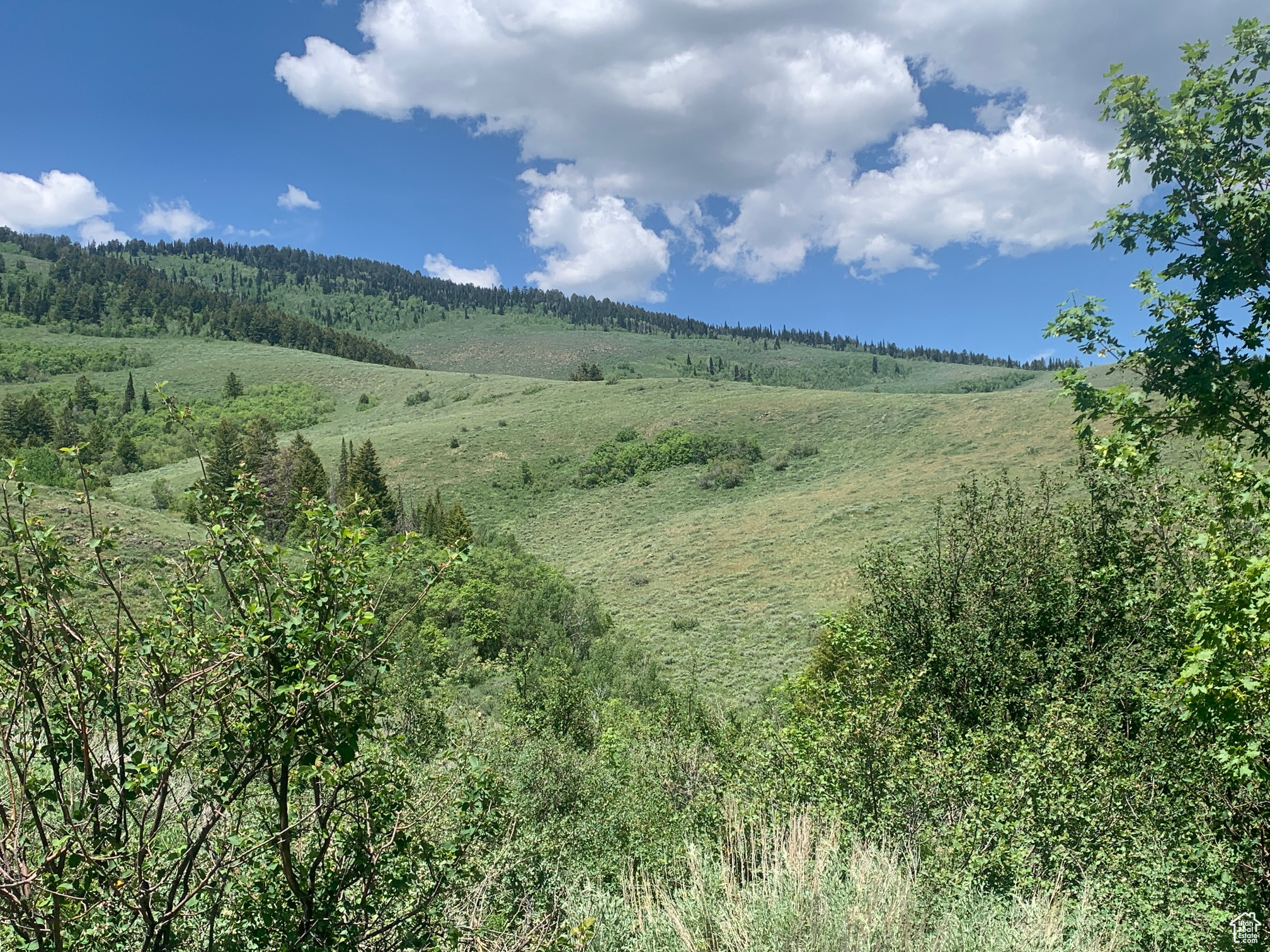 BEAR LAKE WEST PLAT B - Land