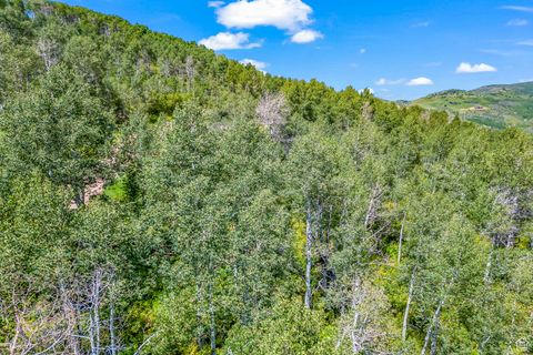 Tiny photo for 11708 CANYON RIM RD #194, Oakley, UT 84055 (MLS # 2118203)