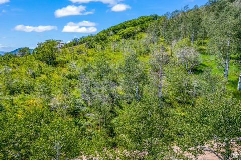 Tiny photo for 11708 CANYON RIM RD #194, Oakley, UT 84055 (MLS # 2118203)