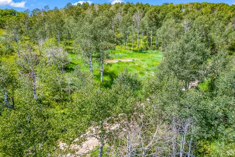 Tiny photo for 11708 CANYON RIM RD #194, Oakley, UT 84055 (MLS # 2118203)