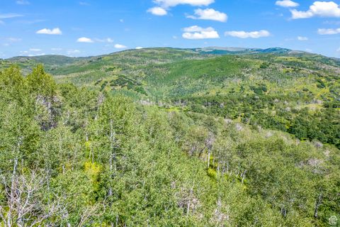 Photo of 11708 CANYON RIM RD #194, Oakley, UT 84055 (MLS # 2118203)