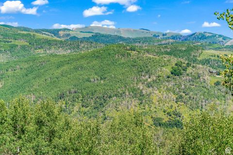 Tiny photo for 11708 CANYON RIM RD #194, Oakley, UT 84055 (MLS # 2118203)