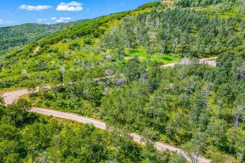 Tiny photo for 11708 CANYON RIM RD #194, Oakley, UT 84055 (MLS # 2118203)