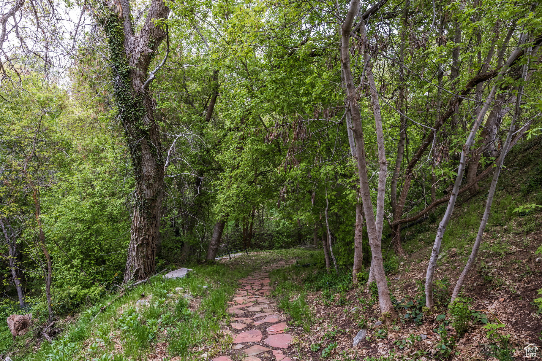 680 S Davis Blvd, Bountiful, Utah image 50