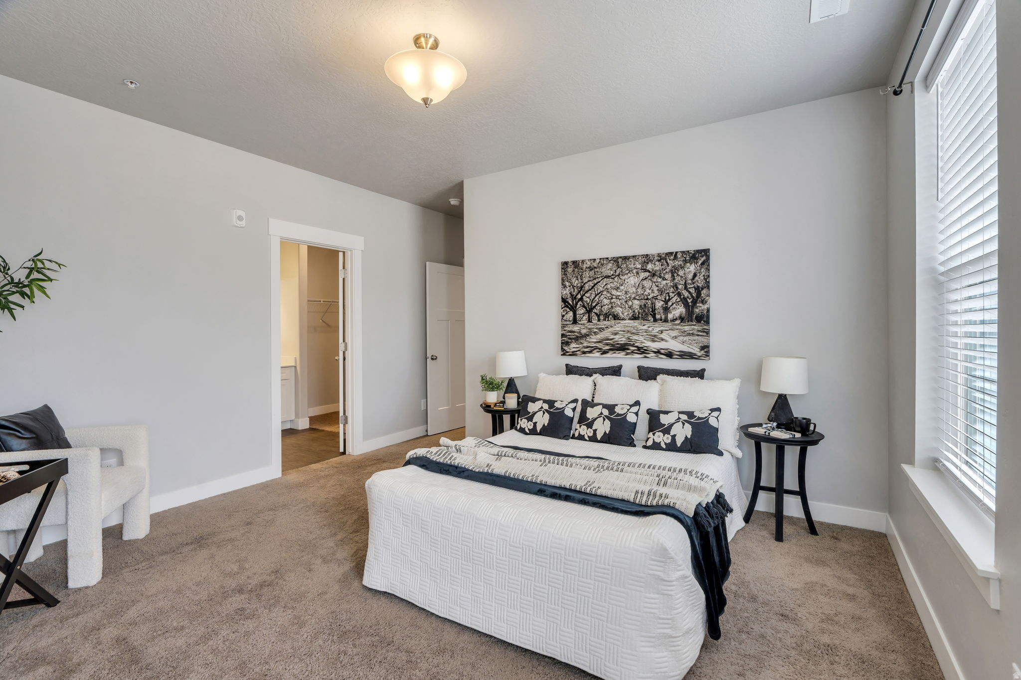 TIMP POINT - Residential