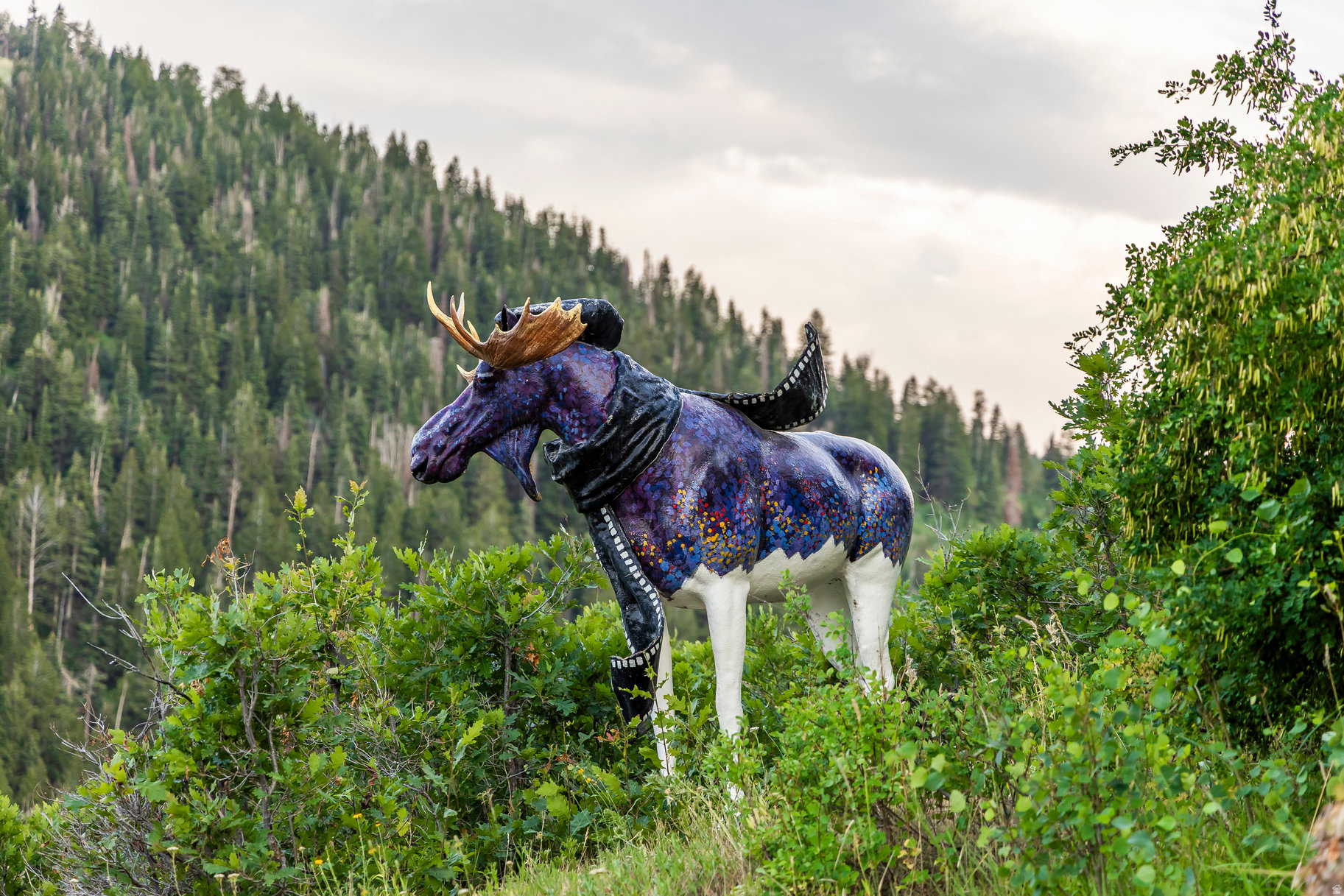 COLONY AT WHITE PINE CANYON - Residential