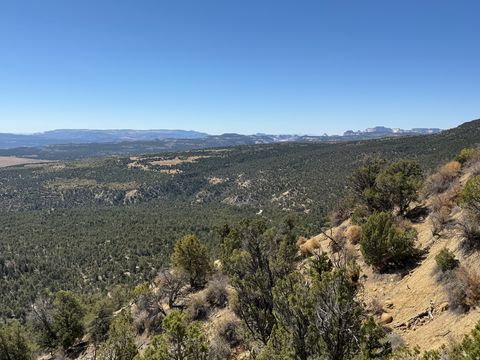 Vacant Land For Sale - Land<br/> Mount Carmel, UT 84755