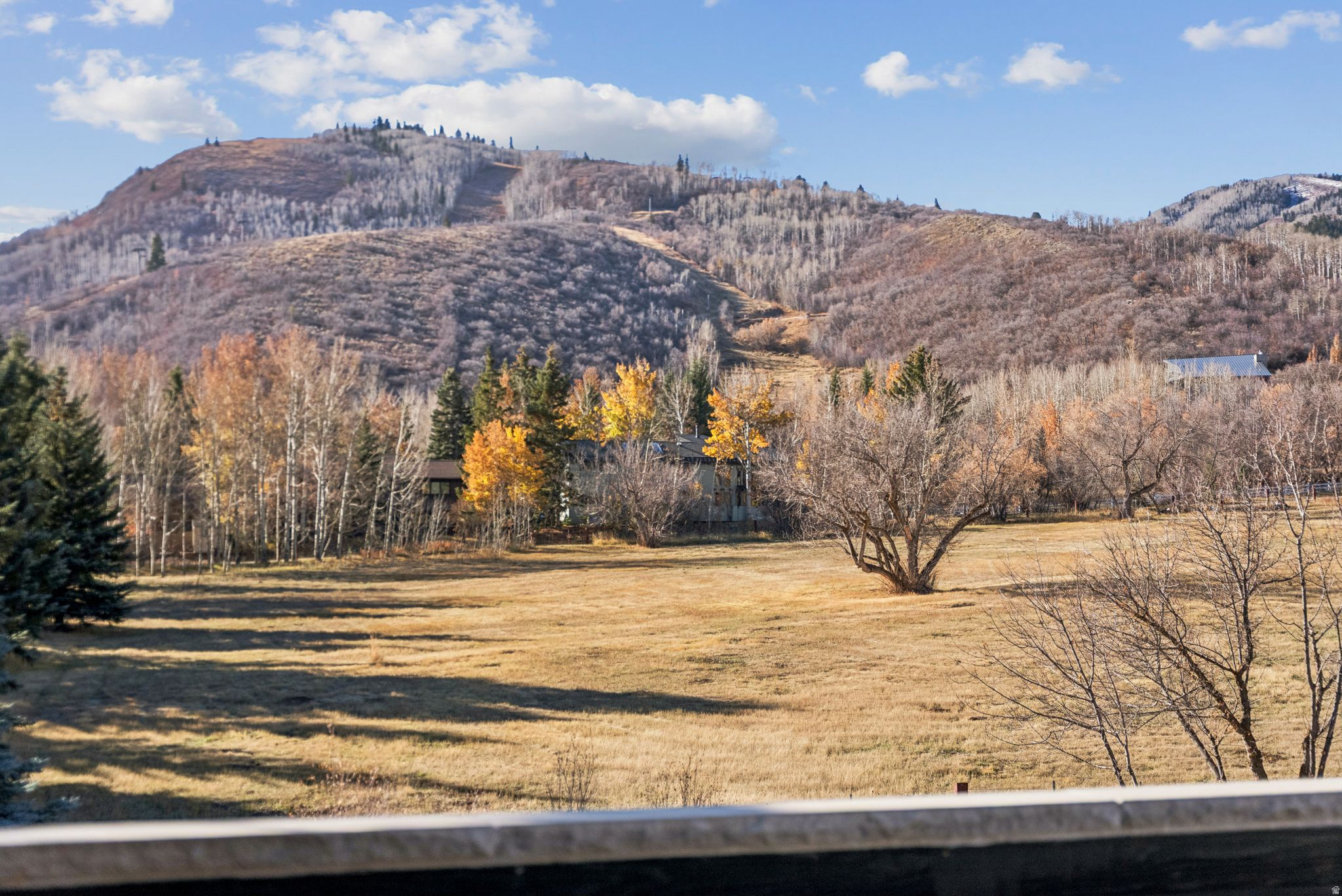 THAYNES CANYON - Residential