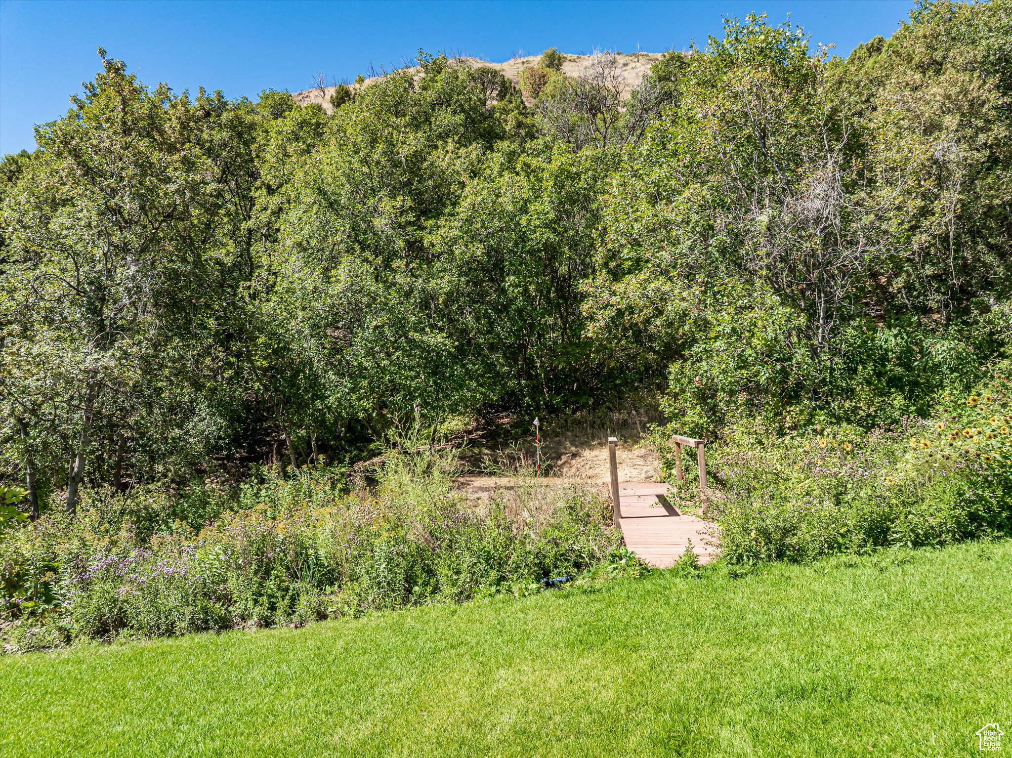 CEDAR LAKE SUB - Residential