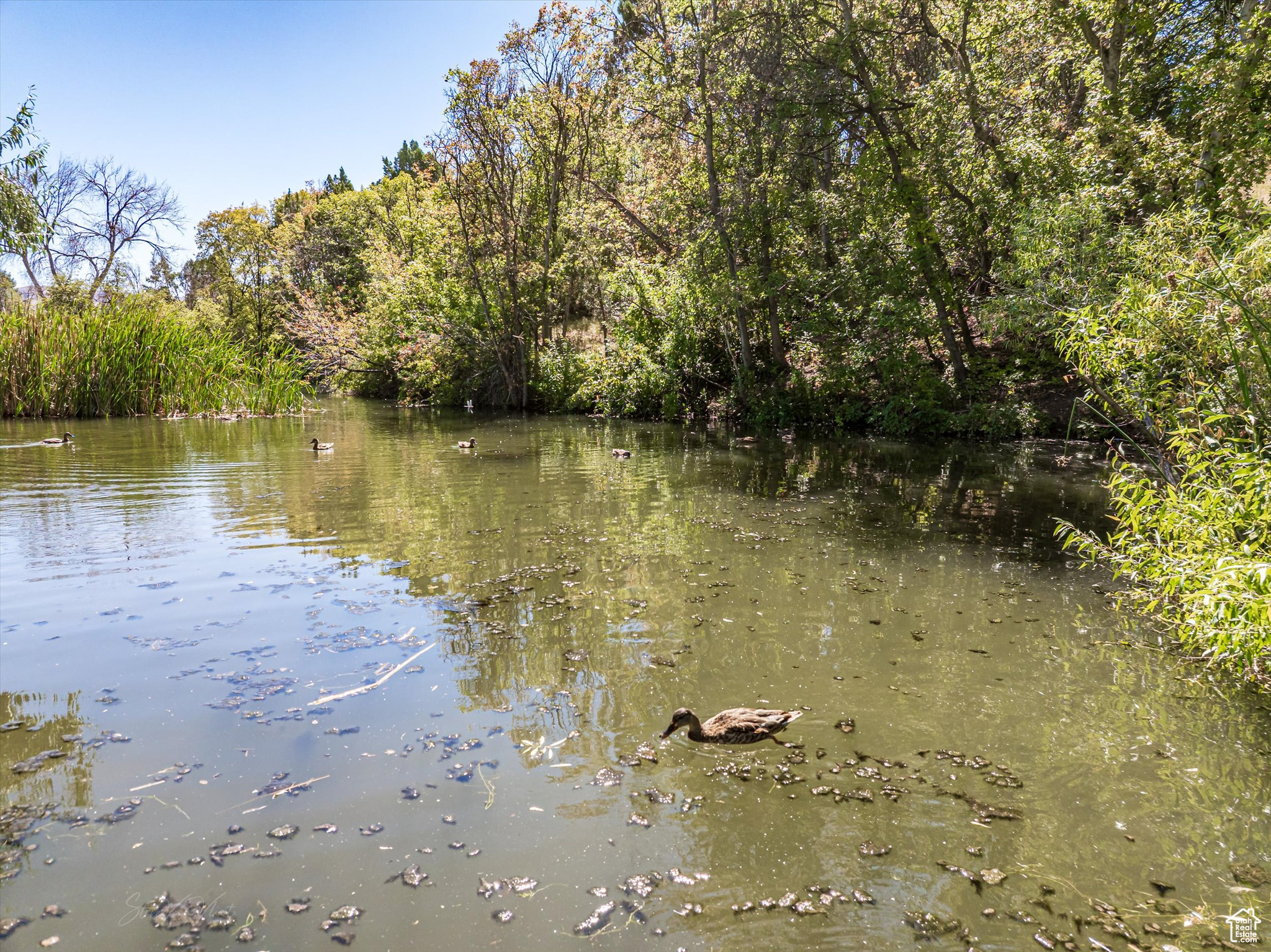 CEDAR LAKE SUB - Residential