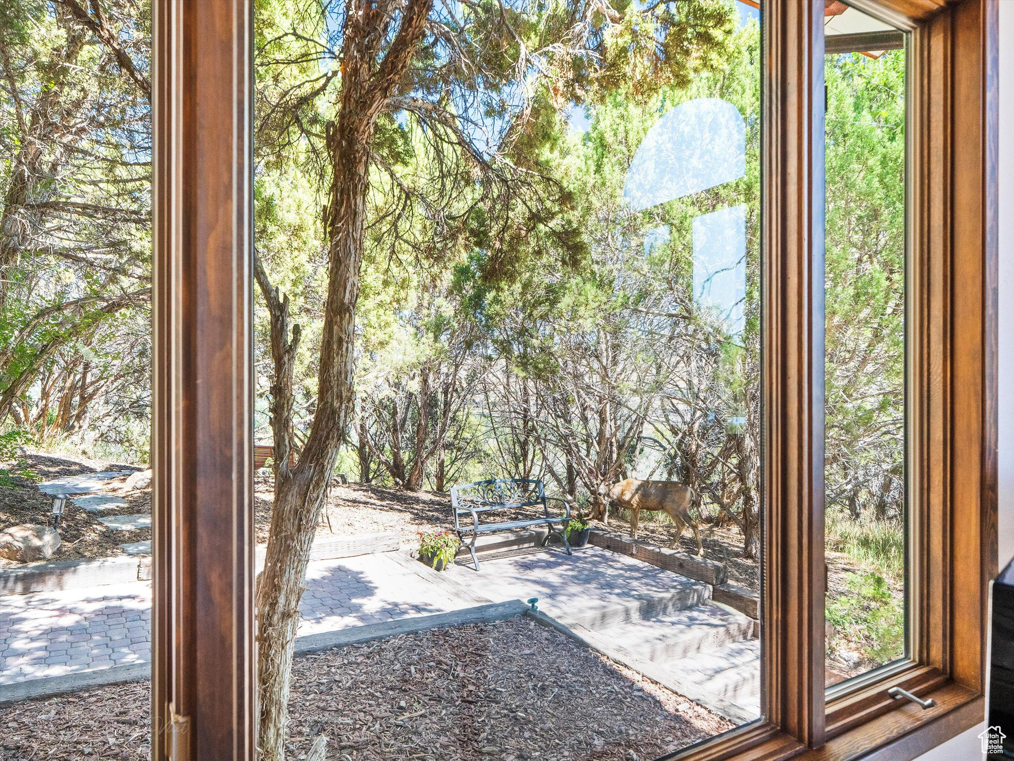 CEDAR LAKE SUB - Residential