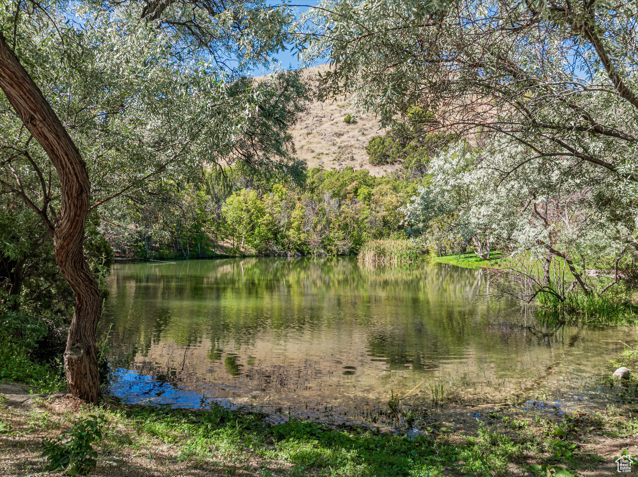 CEDAR LAKE SUB - Residential