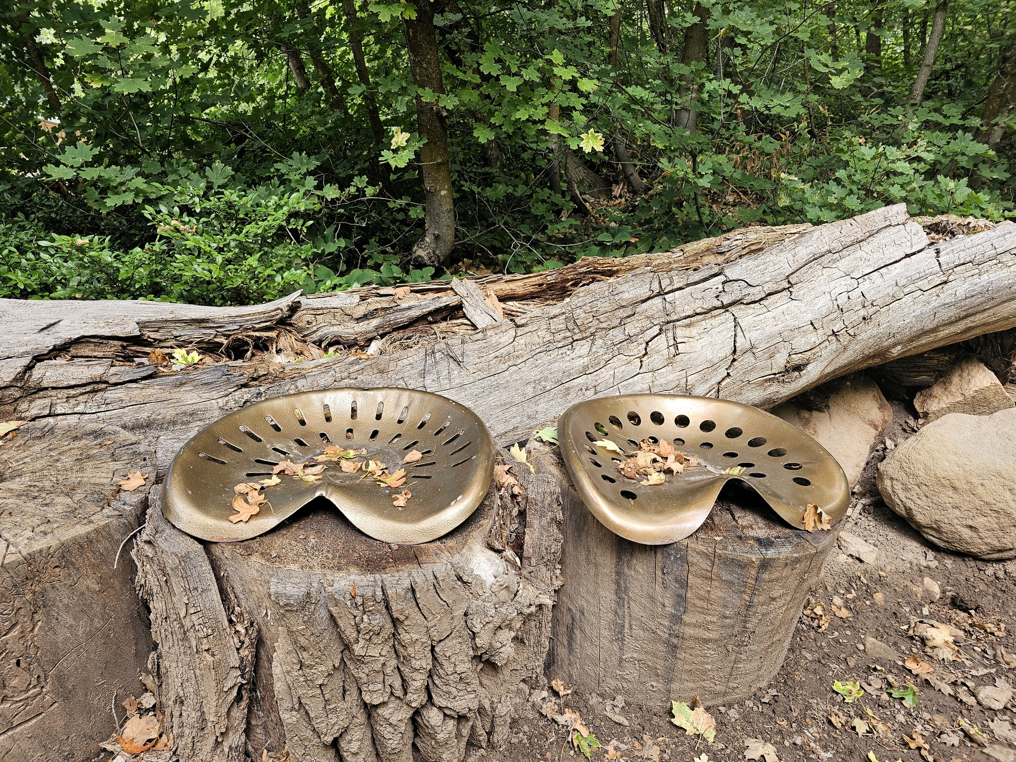 SKYLINE MOUNTAIN RESORT - Residential