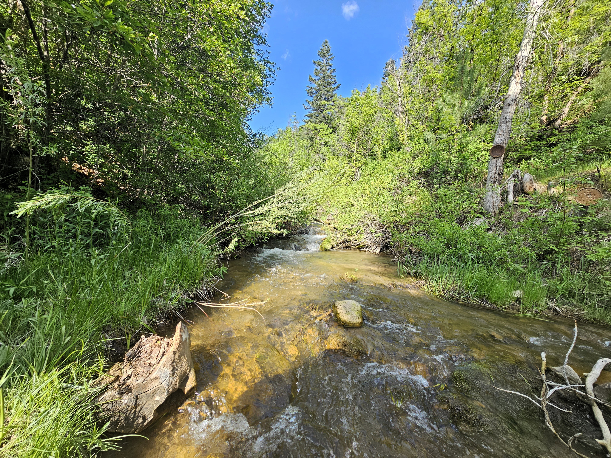 SKYLINE MOUNTAIN RESORT - Residential