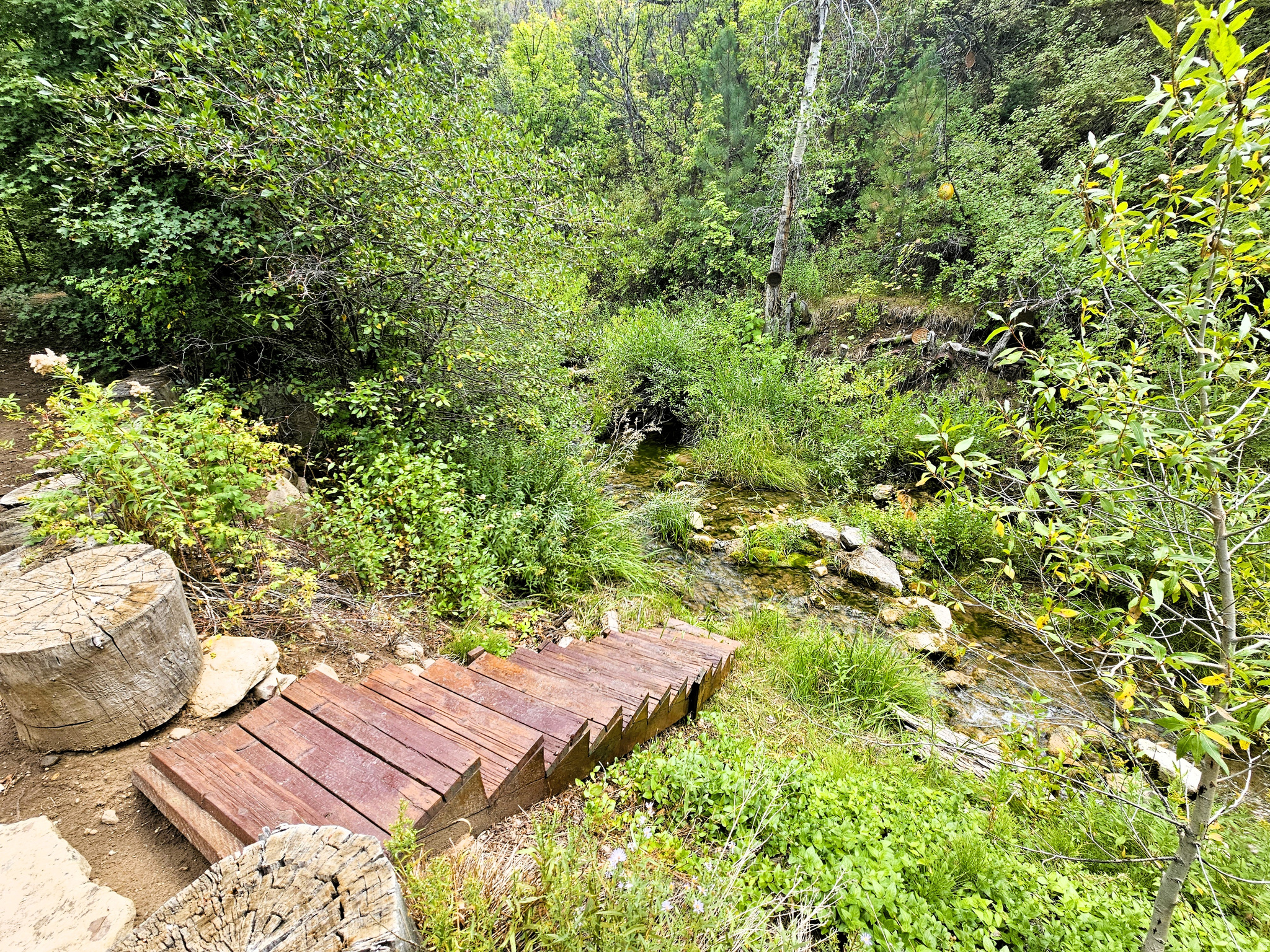 SKYLINE MOUNTAIN RESORT - Residential