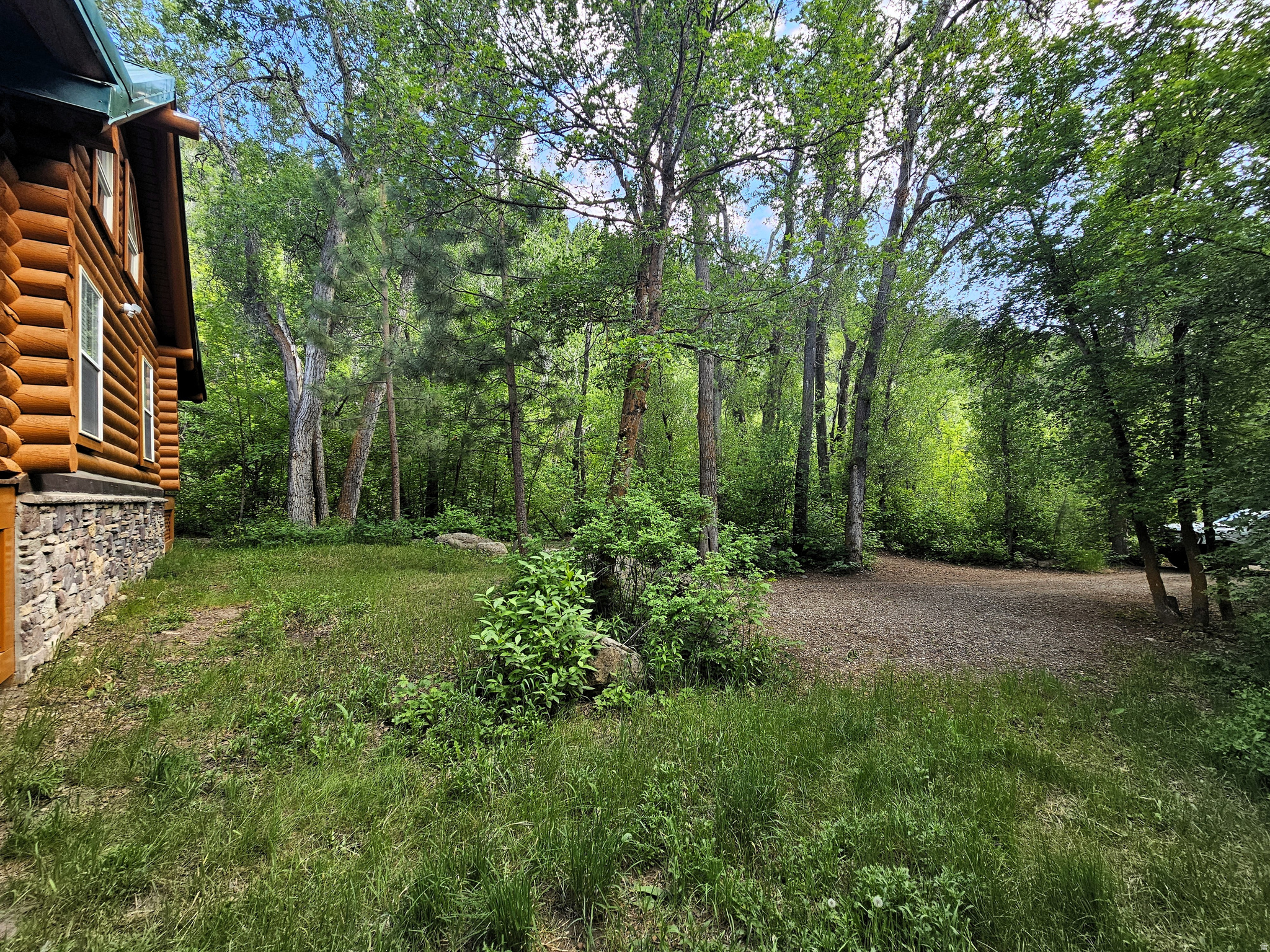 SKYLINE MOUNTAIN RESORT - Residential